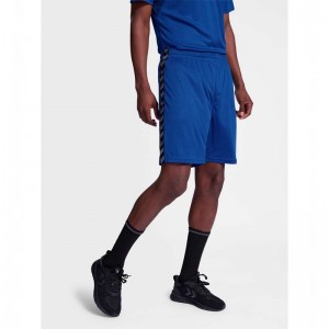 Short Hummel Authentic Pl Homme Bleu | 033696-352
