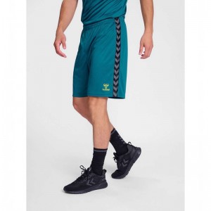 Short Hummel Authentic Pl Homme Bleu | 600256-659