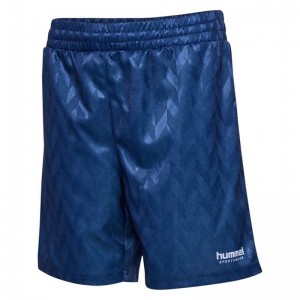 Short Hummel Jr Fb Enfant Bleu | 527733-049