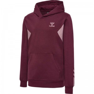 Sweat a Capuche Hummel Active Co Enfant Bordeaux | 400458-821