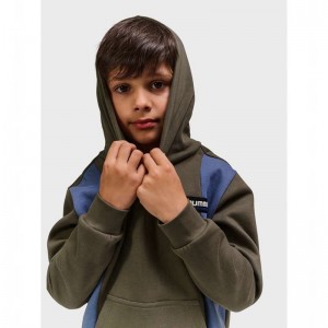 Sweat a Capuche Hummel Allton Enfant Marron | 730977-679
