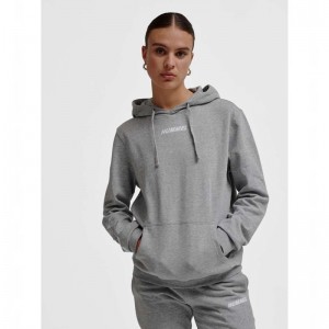 Sweat a Capuche Hummel Elemental Homme Grise | 353650-319