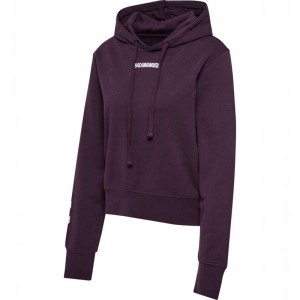 Sweat a Capuche Hummel Elemental Short Femme Violette | 620368-651