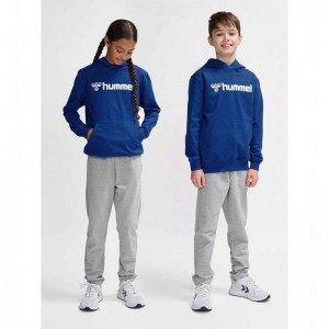 Sweat a Capuche Hummel Go 2.0 Logo Enfant Bleu | 116481-086