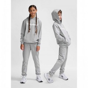 Sweat a Capuche Hummel Go 2.0 Logo Enfant Grise | 450375-960