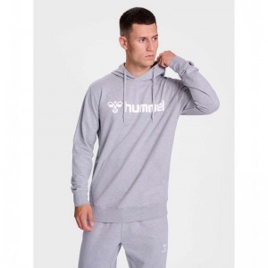 Sweat a Capuche Hummel Go 2.0 Logo Homme Grise | 338927-399