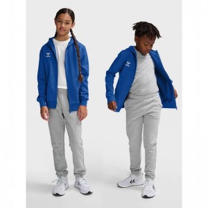 Sweat a Capuche Hummel Go 2.0 Zip Enfant Bleu | 733328-152