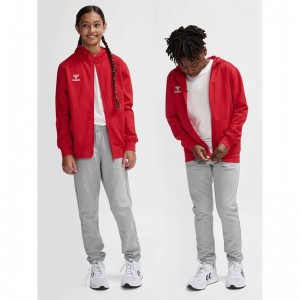 Sweat a Capuche Hummel Go 2.0 Zip Enfant Rouge | 131047-436
