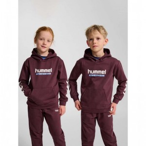 Sweat a Capuche Hummel Jr Logo Enfant Bordeaux | 759227-359