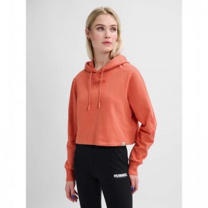 Sweat a Capuche Hummel Legacy Cropped Femme Abricot | 441114-379