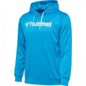 Sweat a Capuche Hummel Logo Homme Bleu | 307954-841