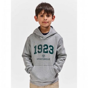 Sweat a Capuche Hummel Nipps Enfant Grise | 748617-625