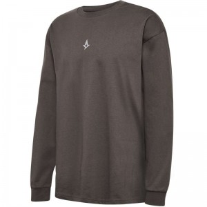 T Shirts Hummel Astralis 24 Fan 2016 Loose Ls Homme Chocolat | 524429-734