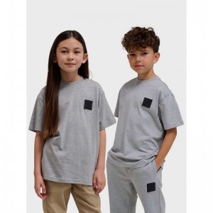 T Shirts Hummel Clean S/S Enfant Grise | 346820-279