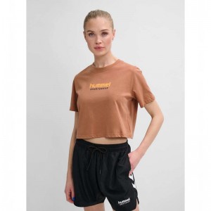 T Shirts Hummel Lgc Malu Cropped Femme Marron | 218217-203