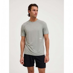 T Shirts Hummel Pulse Workout S/S Homme Grise | 369260-401