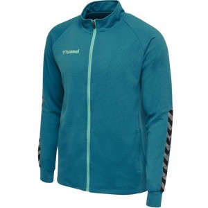 Vestes Hummel Authentic Poly Zip Homme Bleu | 485061-196