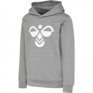 Vêtements De Sport Hummel Cuatro Enfant Grise | 593253-311