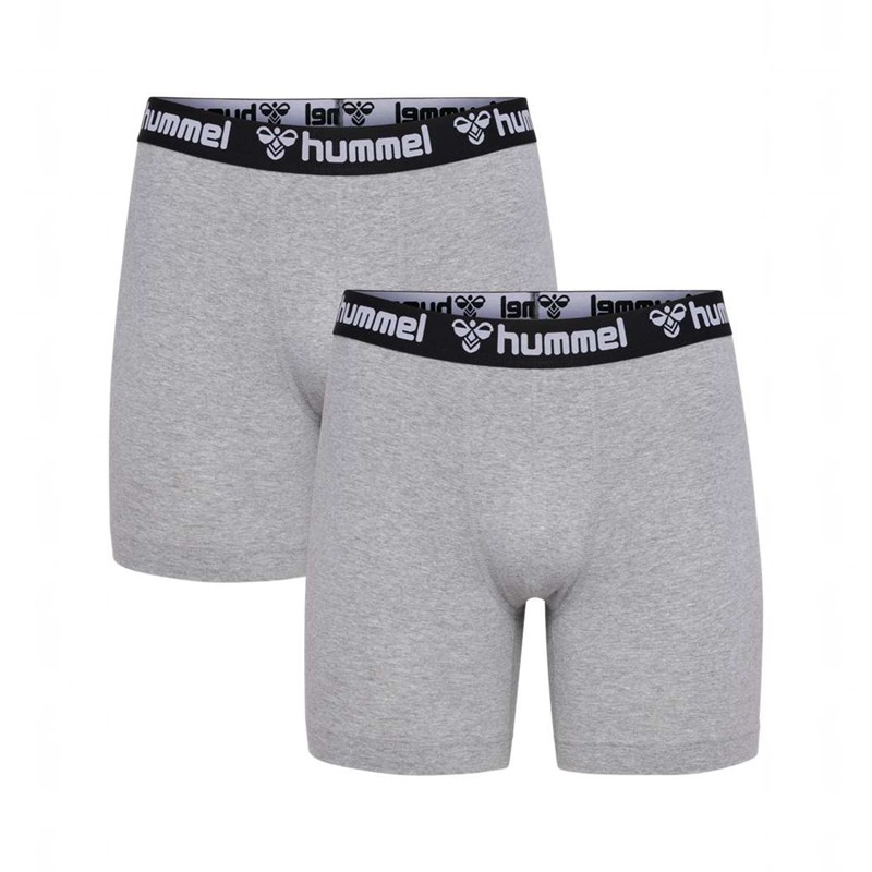 Boxer Hummel Boxers 2-pack Homme Grise | 410829-750
