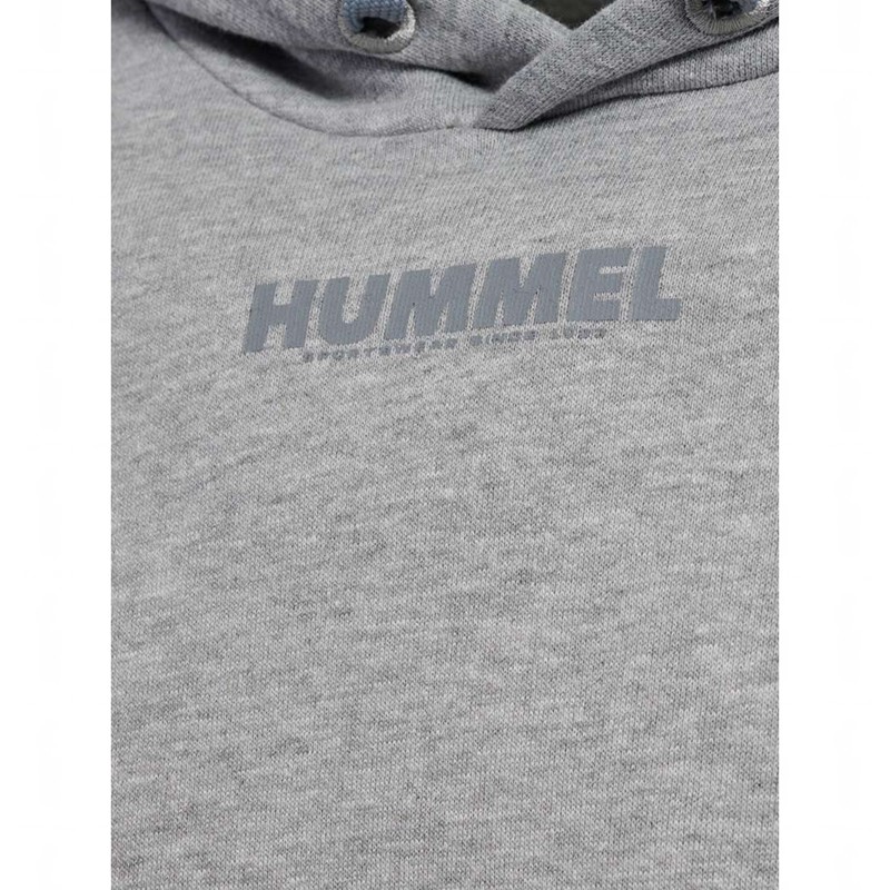Ensembles Hummel Legacy Hoodie + Shorts Homme Grise | 452442-878