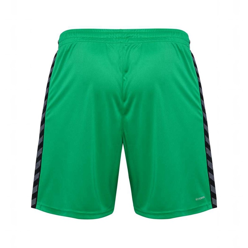 Short Hummel Authentic Pl Homme Vert | 899794-625