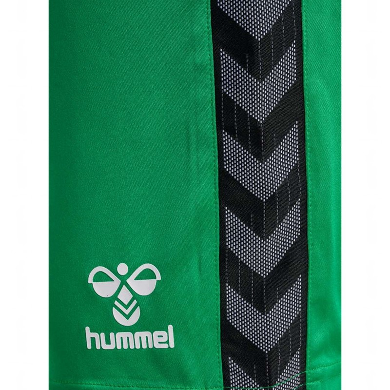 Short Hummel Authentic Pl Homme Vert | 899794-625