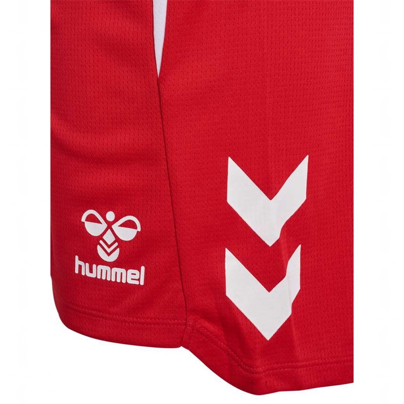 Short Hummel Lead 2.0 Homme Rouge | 267235-172
