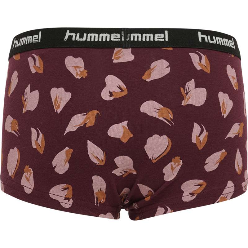 Sous Vêtement Hummel Carolina 2-pack Enfant Bordeaux | 172205-322