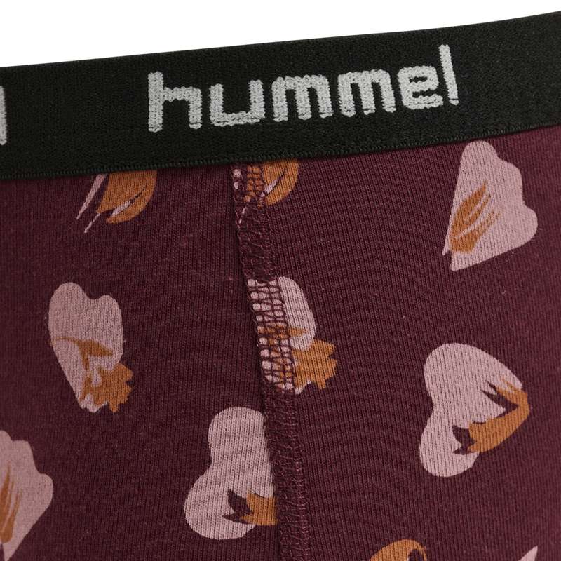 Sous Vêtement Hummel Carolina 2-pack Enfant Bordeaux | 172205-322