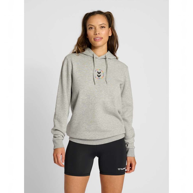 Sweat a Capuche Hummel Everything Nothing Homme Grise | 483877-367