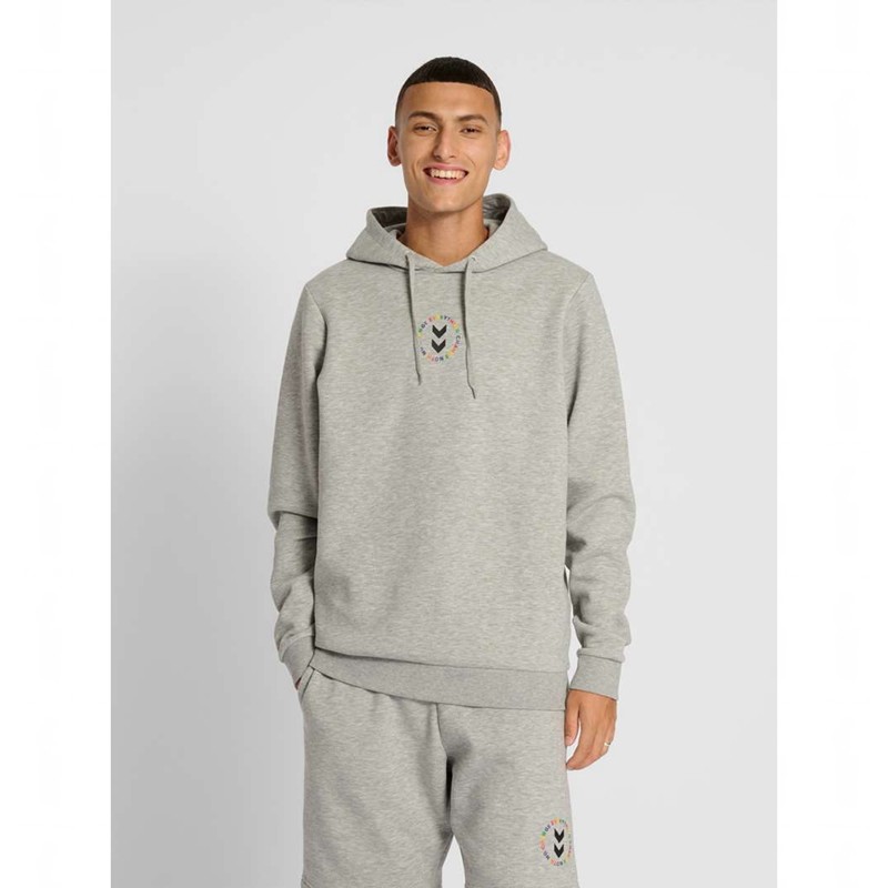 Sweat a Capuche Hummel Everything Nothing Homme Grise | 483877-367