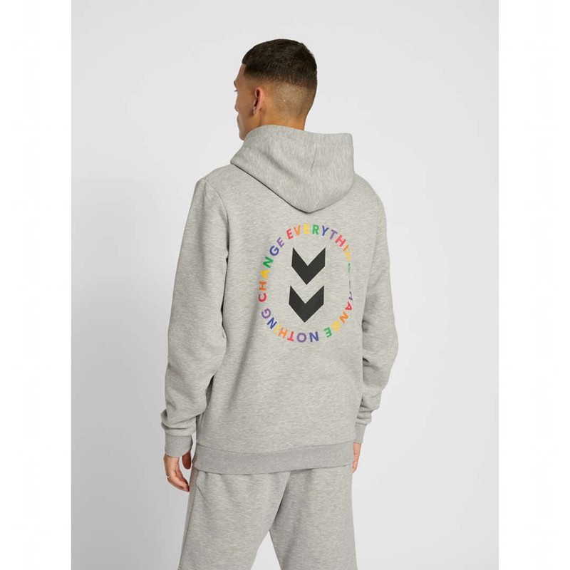 Sweat a Capuche Hummel Everything Nothing Homme Grise | 483877-367