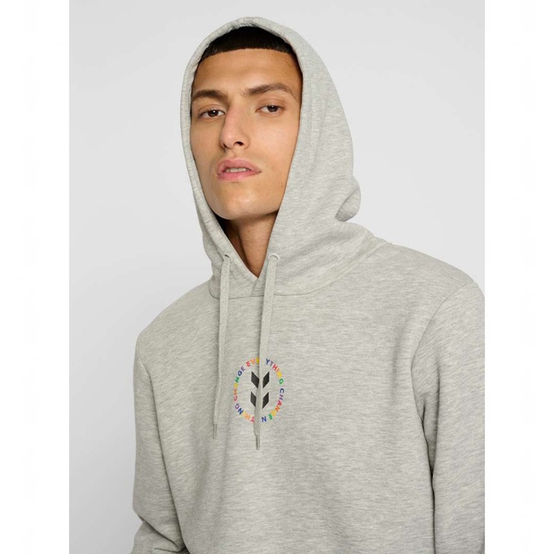 Sweat a Capuche Hummel Everything Nothing Homme Grise | 483877-367
