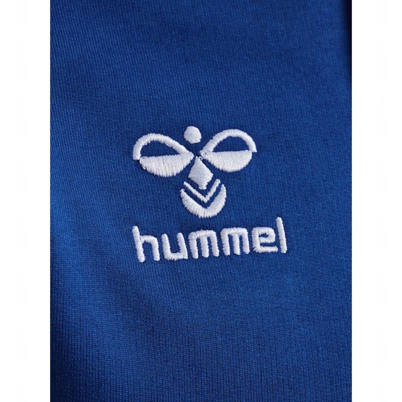 Sweat a Capuche Hummel Go 2.0 Homme Bleu | 608146-940