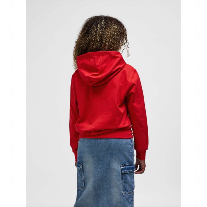 Sweat a Capuche Hummel Go 2.0 Logo Enfant Rouge | 858408-338