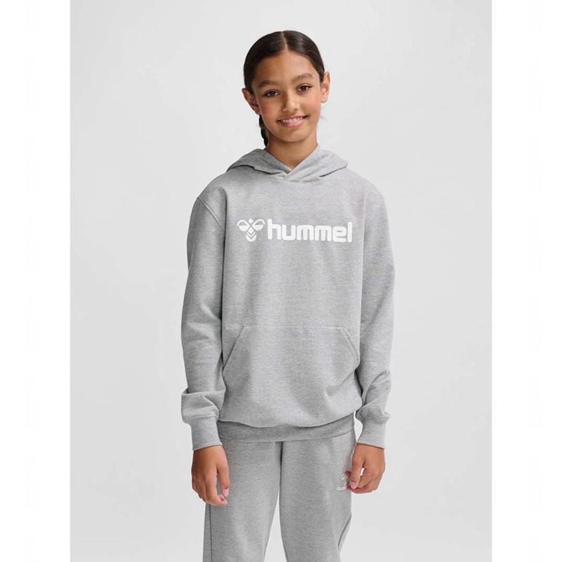 Sweat a Capuche Hummel Go 2.0 Logo Enfant Grise | 450375-960