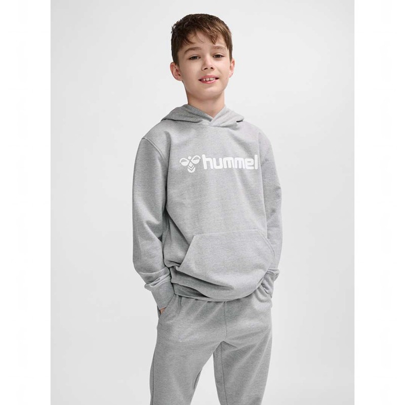 Sweat a Capuche Hummel Go 2.0 Logo Enfant Grise | 450375-960