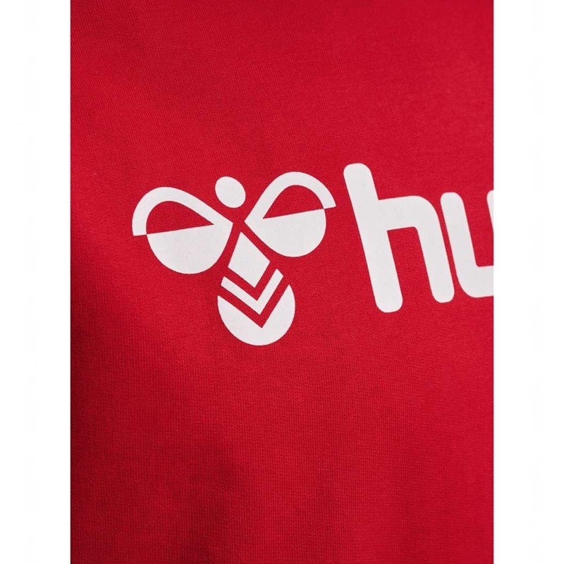 Sweat a Capuche Hummel Go 2.0 Logo Homme Rouge | 625647-029