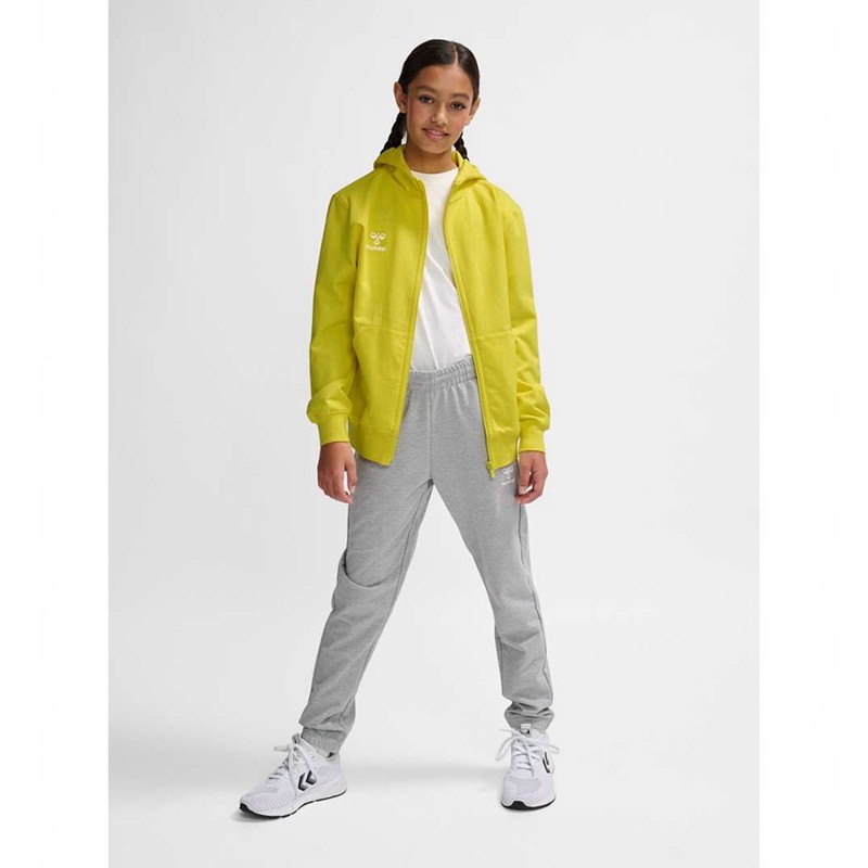 Sweat a Capuche Hummel Go 2.0 Zip Enfant Jaune | 452840-141