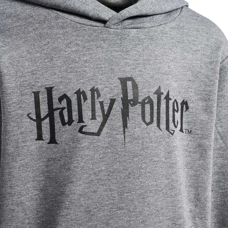 Sweat a Capuche Hummel Harry Potter Enfant Grise | 414645-013