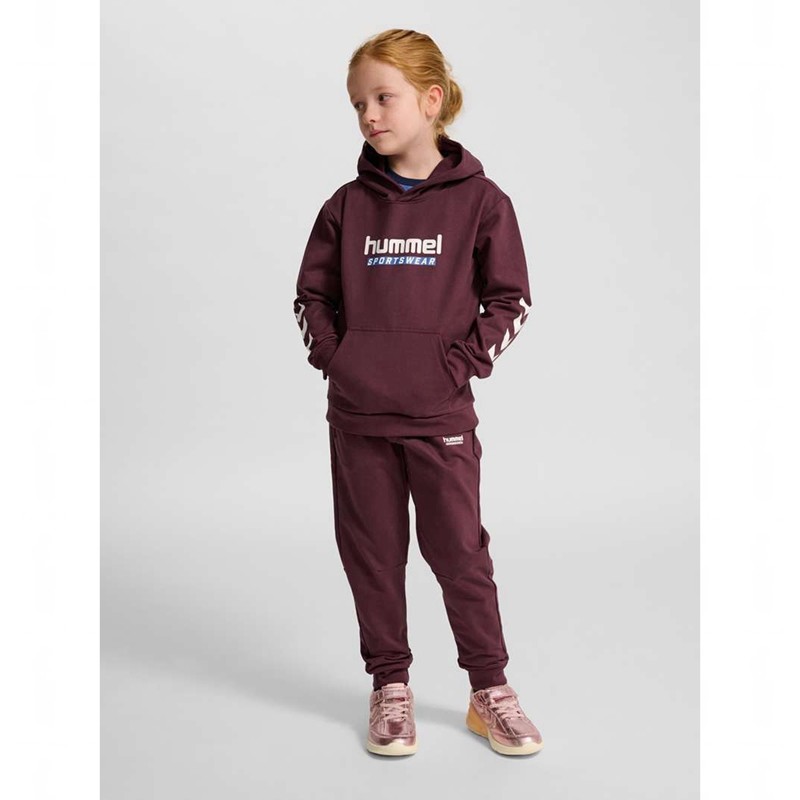 Sweat a Capuche Hummel Jr Logo Enfant Bordeaux | 759227-359