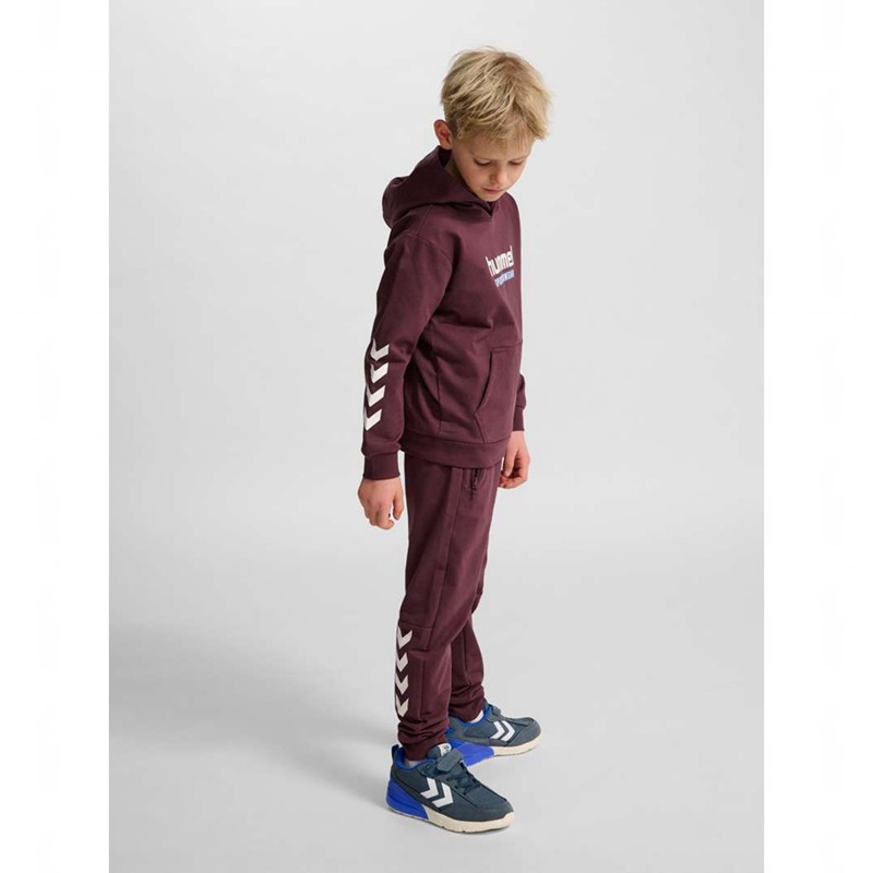 Sweat a Capuche Hummel Jr Logo Enfant Bordeaux | 759227-359