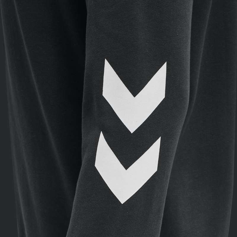 Sweat a Capuche Hummel Legacy Zip Plus Homme Noir | 478094-938