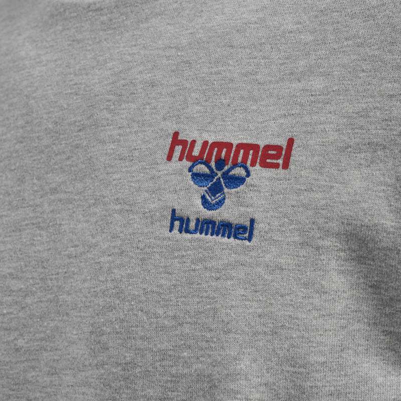 Sweats Hummel Ic Dayton Homme Grise | 014026-080