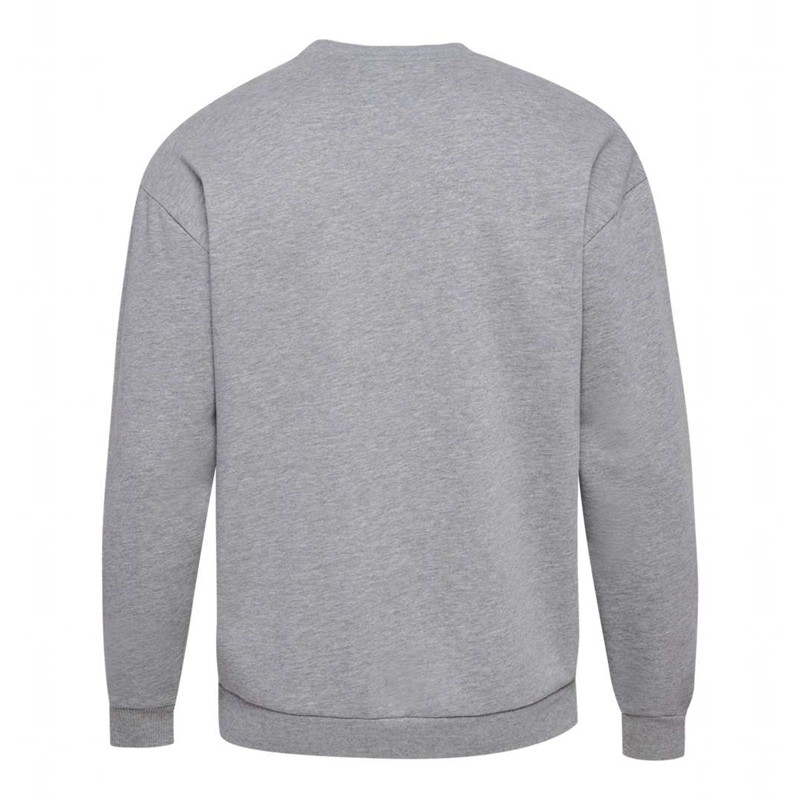 Sweats Hummel Loose Crewneck University Bee Femme Grise | 215836-584