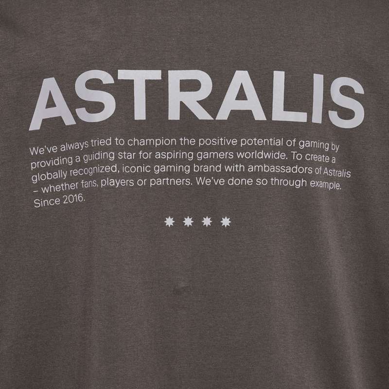 T Shirts Hummel Astralis 24 Fan 2016 Loose Ls Homme Chocolat | 524429-734