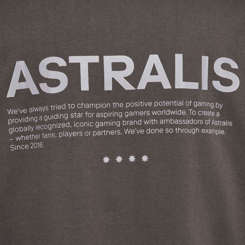 T Shirts Hummel Astralis 24 Fan 2016 Loose Ss Homme Chocolat | 885490-653