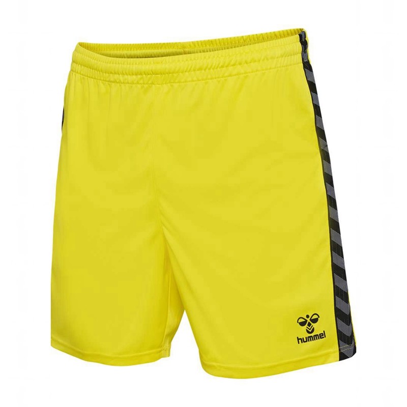 T Shirts Hummel Authentic Pl Homme Jaune | 991531-487