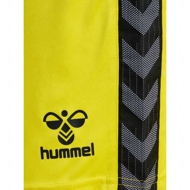 T Shirts Hummel Authentic Pl Homme Jaune | 991531-487