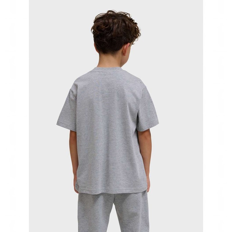 T Shirts Hummel Clean S/S Enfant Grise | 346820-279
